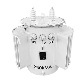 Pole Mounted Transformer 3